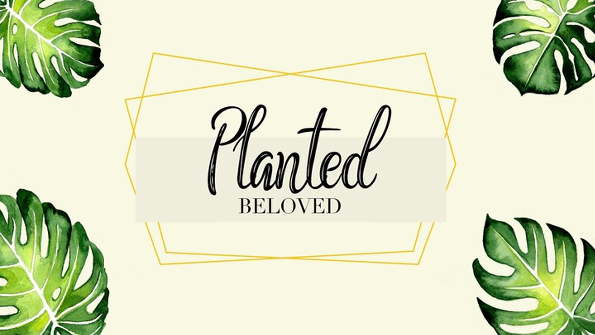Planted Beloved women